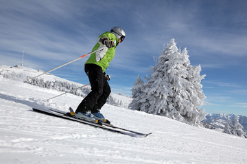 Skifahrerin mit verschneiten Bäumen