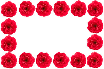 Beautiful frame of red roses