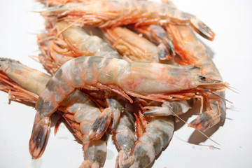 crevettes