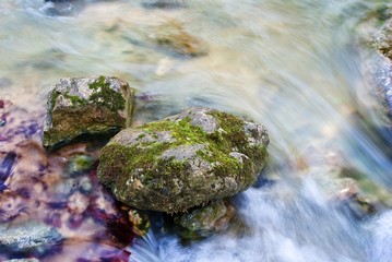 spring river as a background