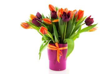 Bouquet tulips