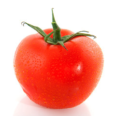 Single fresh tomato