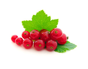 red currants