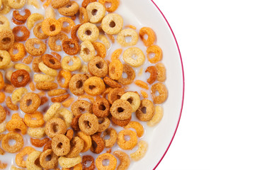 Healthy breakfast with cereal and milk
