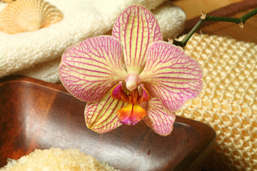 Fototapeta na wymiar Orchid spa