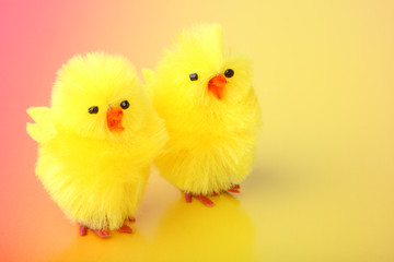 Easter chickens on color background