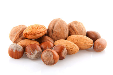 diversity of nuts