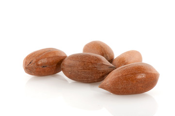 Obraz premium Pecan nuts
