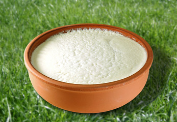 yogurt