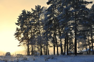 Winter scenic