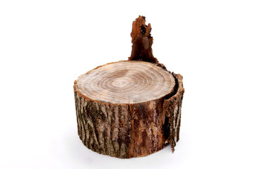 ceppo corteccia legno olmo