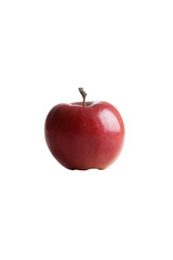 obst10_0008.jpg