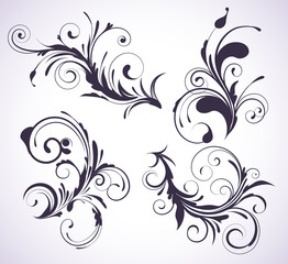 Fototapeta premium floral elements