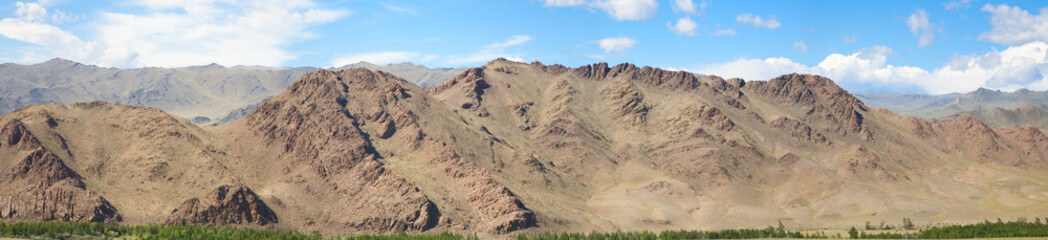 Panoramic image