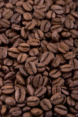 Coffee beans