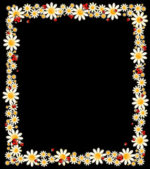 background with beautiful camomil