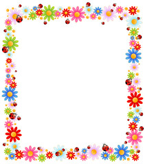 background with beautiful camomil