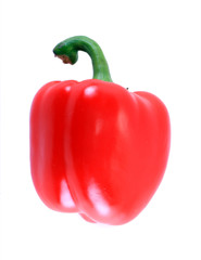 Red isolated bell on the white background