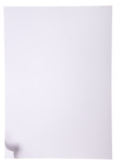 Paper page with curl, copy space for your text.