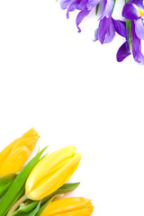 Naklejka premium beautiful spring flowers