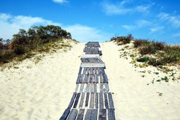 The Curonian Spit