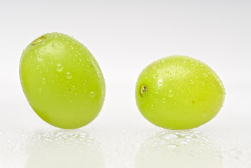 Two wet green grapes isolated on white background - 20399056