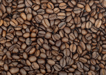 Roasted coffee bean