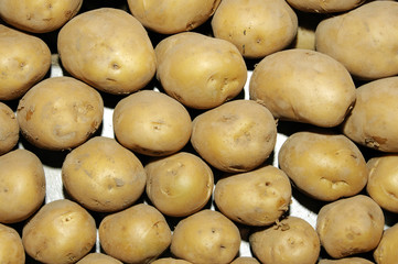 potatoes
