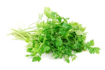 Bouquet of parsley on white