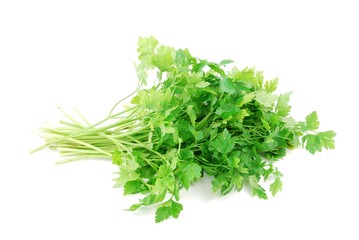 Bouquet of parsley on white