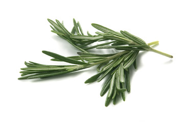 Rosemary