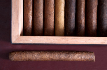 cigar