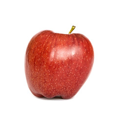 red apple on white background