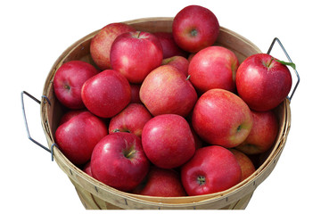 Apple bushel