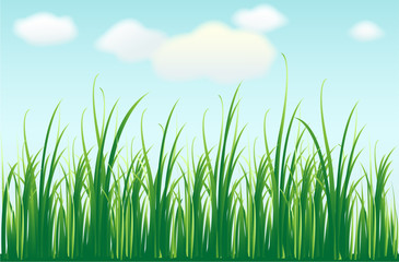grass background
