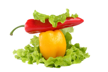 Paprika and salad