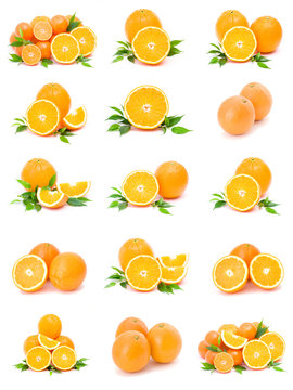 collection of citrus on a white background