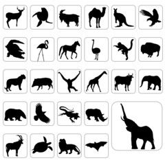 big set of wild animals vector