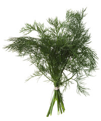 Dill
