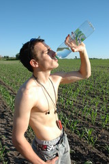Volker trinken