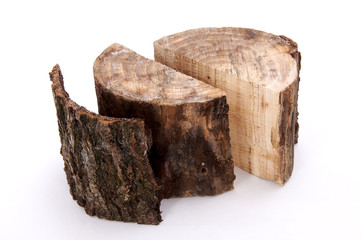 legno sezione anelli albero crescita