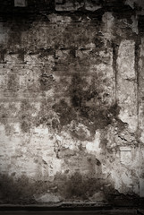 Obraz premium Ściana