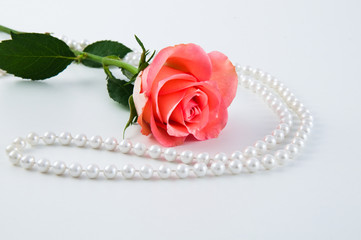 Perlenkette und Rose