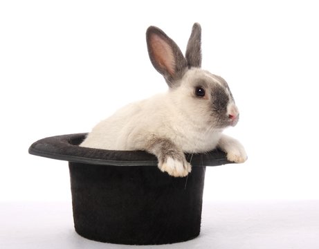 Rabbit Trick