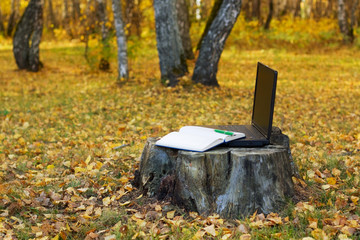 Laptop on the stump.