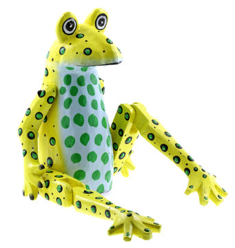grenouille fond blanc