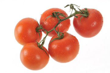 fresh five red tomatoes