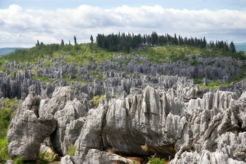 Steinwald bei Kunming
