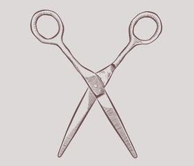 Hand drawn scissors vintage stylized