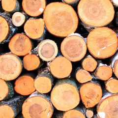 Fototapeta premium firewood aheap